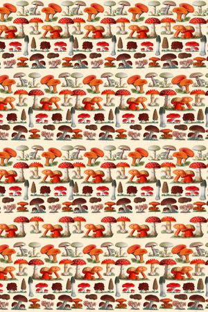 趣味印花华亿平台图片