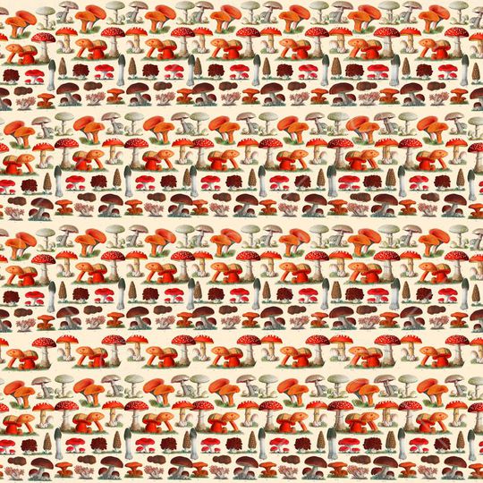 趣味印花华亿平台图片