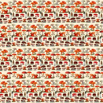 趣味印花华亿平台图片