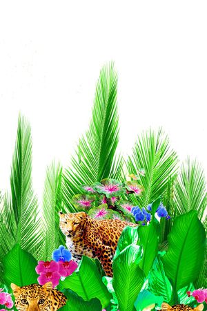 时尚印花华亿平台图片