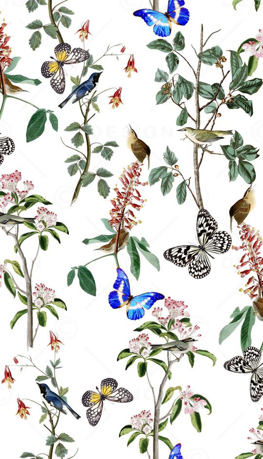 手绘鸟印花华亿平台图片