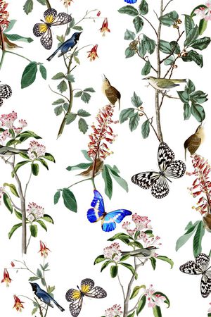 手绘鸟印花华亿平台图片