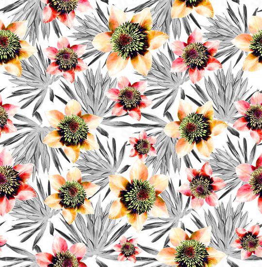 热带花卉印花华亿平台图片