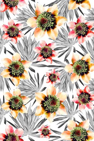 热带花卉印花华亿平台图片