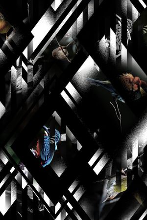 错位几何印花华亿平台图片