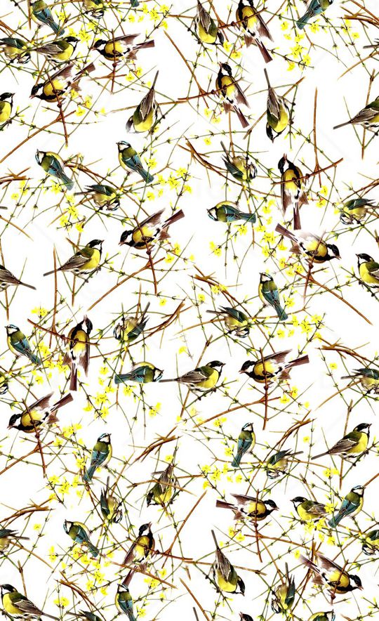 中国风工笔花鸟印花华亿平台图片