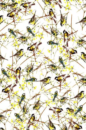 中国风工笔花鸟印花华亿平台图片