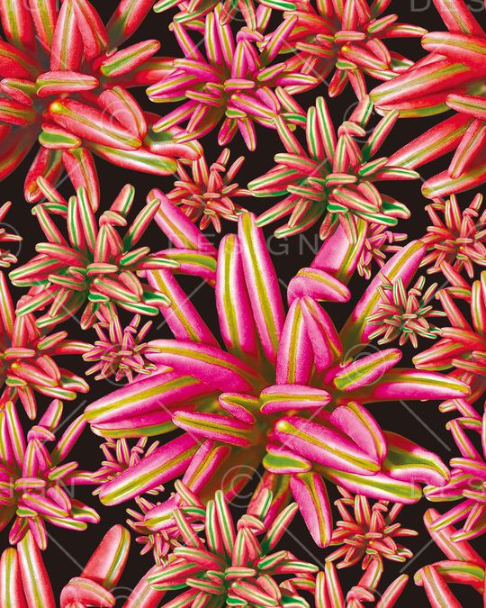 数码印花印花华亿平台图片