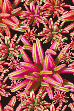 数码印花印花华亿平台图片