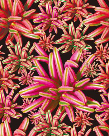 数码印花印花华亿平台图片