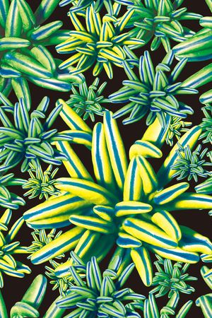 数码印花印花华亿平台图片