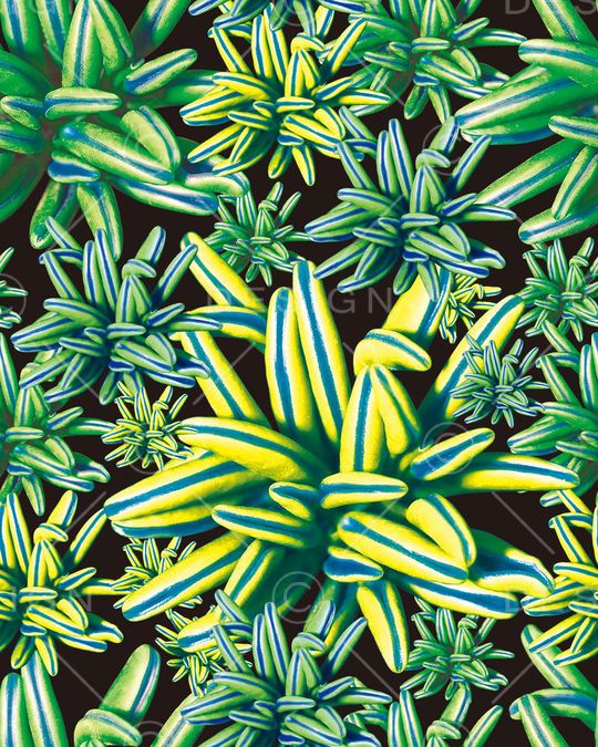 数码印花印花华亿平台图片