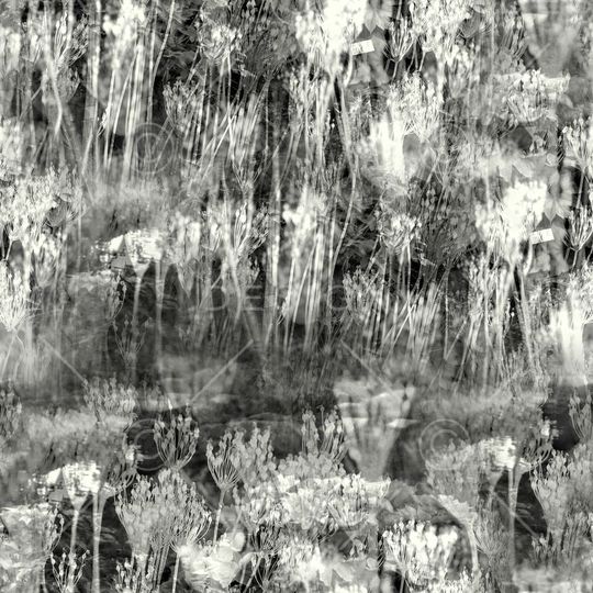 文艺印花华亿平台图片