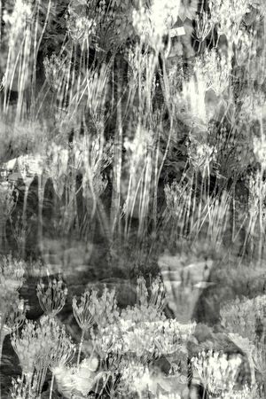 文艺印花华亿平台图片