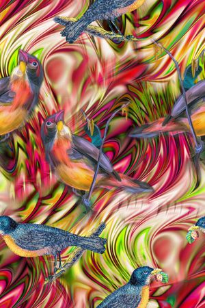 鸟印花华亿平台图片