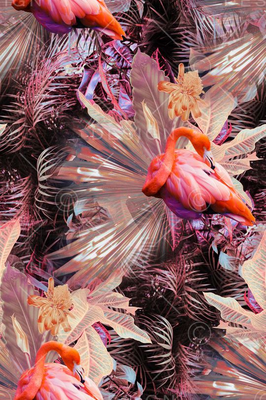 火烈鸟印花华亿平台图片