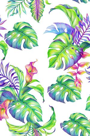 棕榈叶印花华亿平台图片