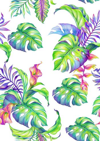 640718-简约芭蕉叶棕树叶