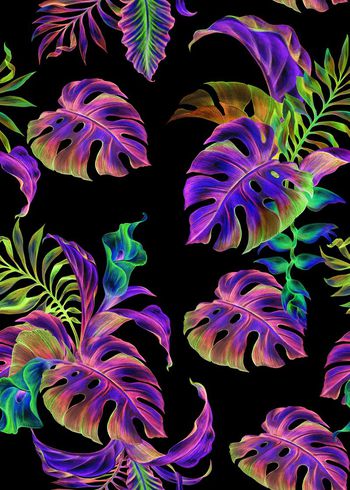 640719-简约芭蕉叶棕树叶负