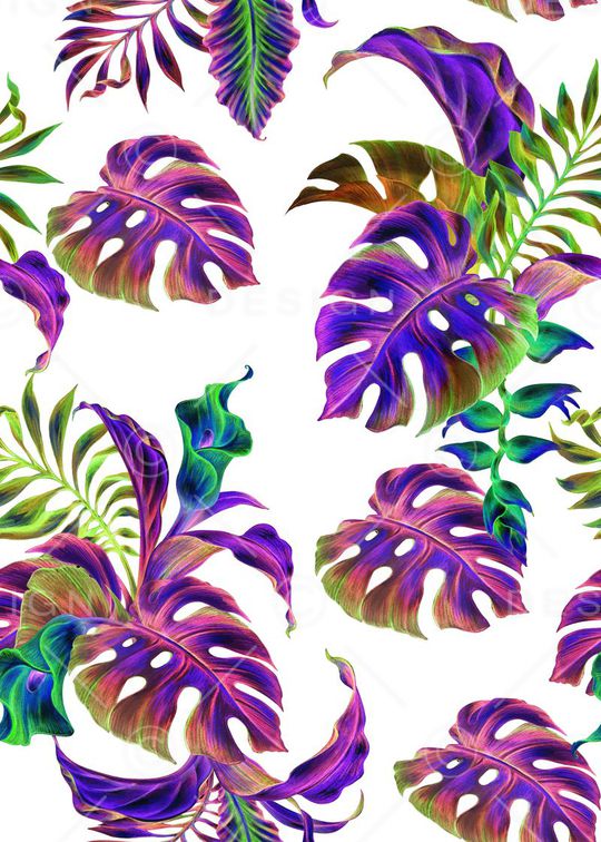 棕榈叶印花华亿平台图片