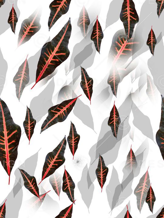 流行时尚印花华亿平台图片