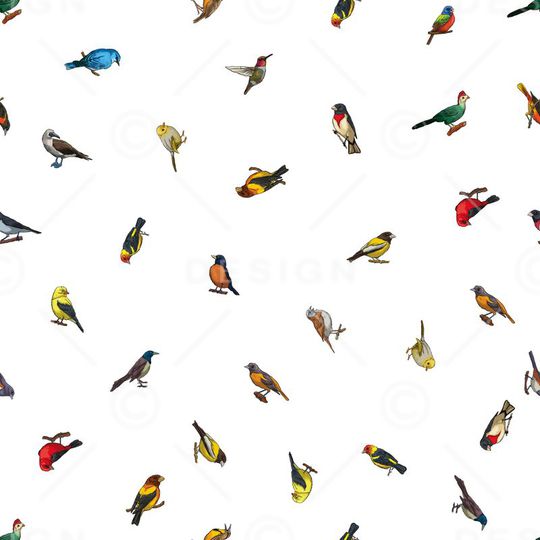 鸟类印花华亿平台图片