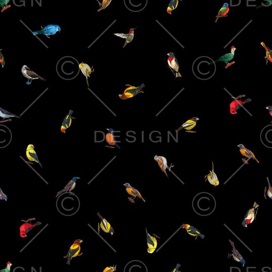 鸟类印花华亿平台图片