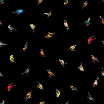 640805-手绘鸟－黑