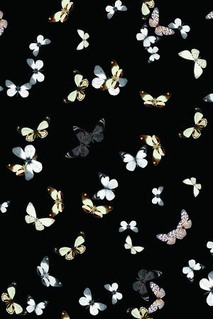 昆虫印花华亿平台图片