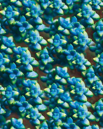 640872-XH20160529-02-b02