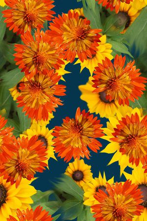 大气时尚风印花华亿平台图片