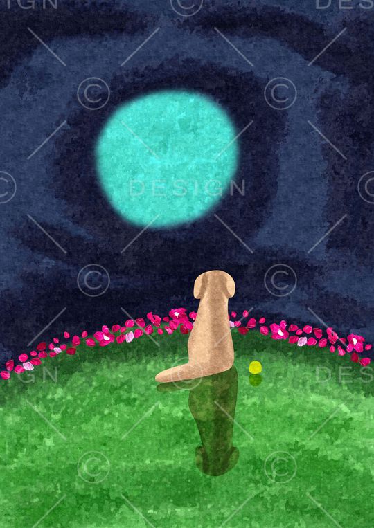 手绘印花华亿平台图片