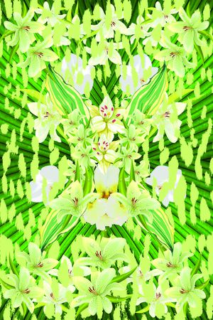 tropical印花华亿平台图片