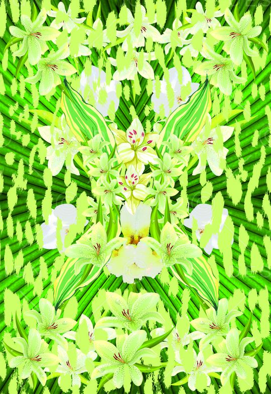 tropical印花华亿平台图片