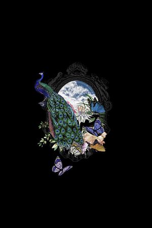 孔雀印花华亿平台图片