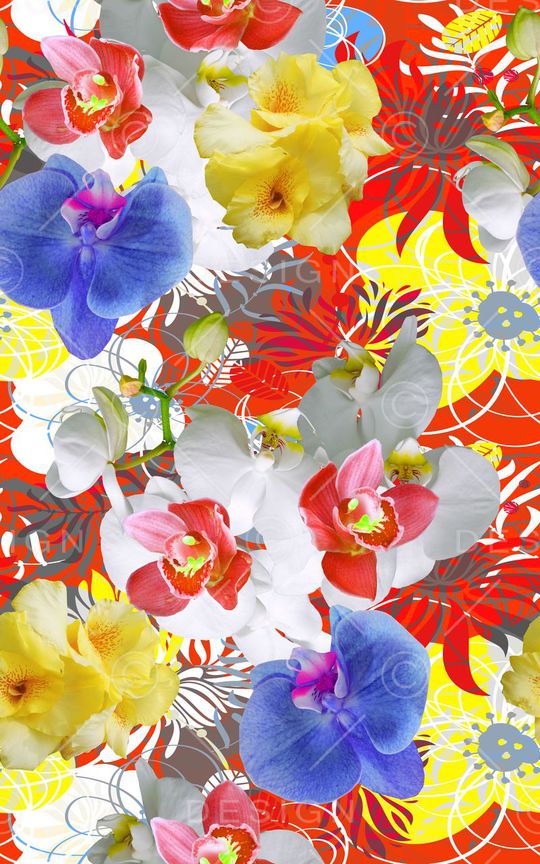 泳装印花华亿平台图片