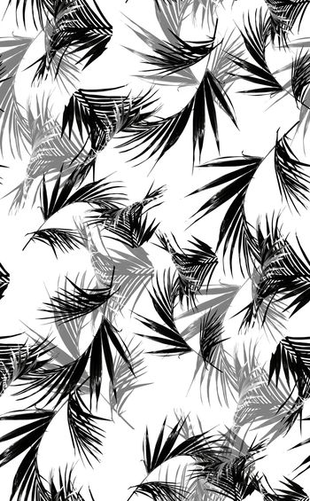 641221-传统棕树叶黑白灰华亿平台