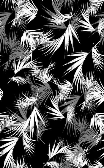 641222-传统棕树叶黑白灰华亿平台1