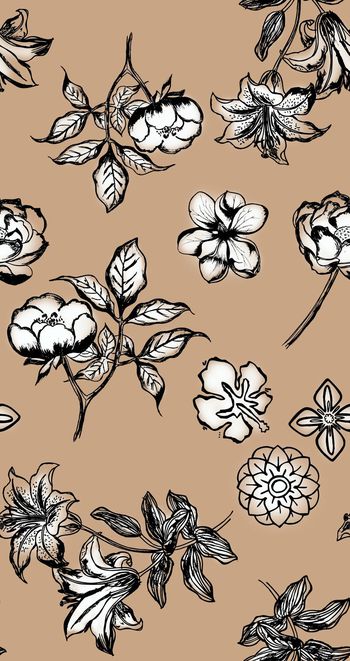 641255-传统华亿平台