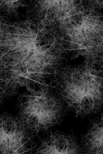 黑白华亿平台印花华亿平台图片