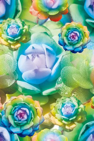 数码印花印花华亿平台图片