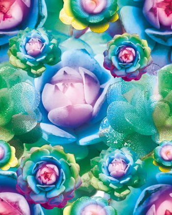 641318-XH20160530-01-b02