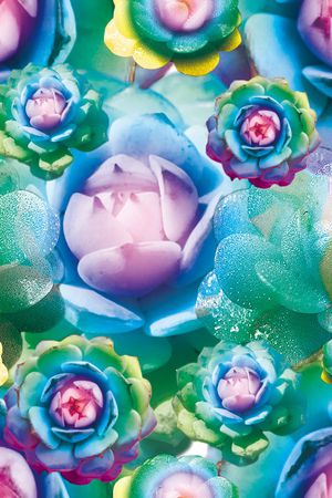 数码印花印花华亿平台图片