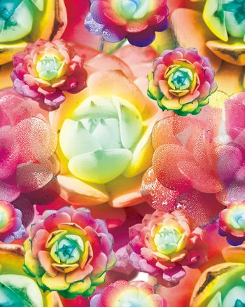 641320-XH20160530-01-b04