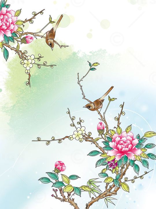 Fei-女装印花华亿平台图片