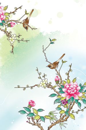 Fei-女装印花华亿平台图片