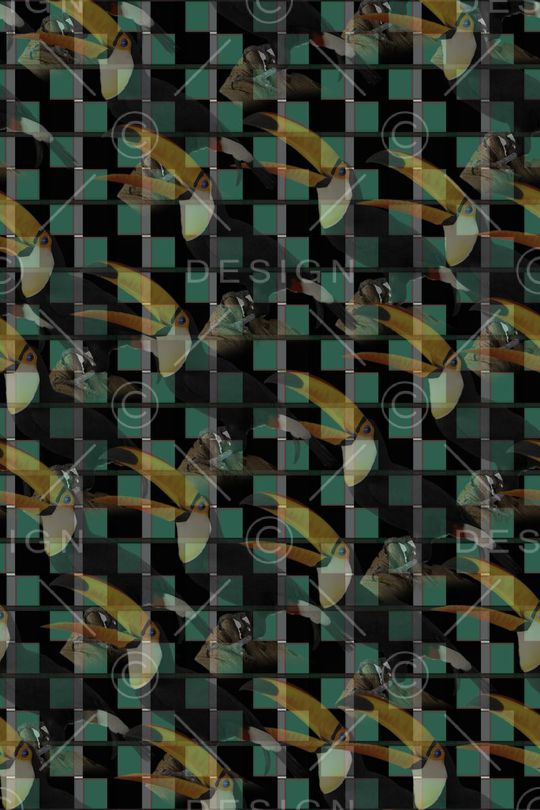 巨嘴鸟印花华亿平台图片