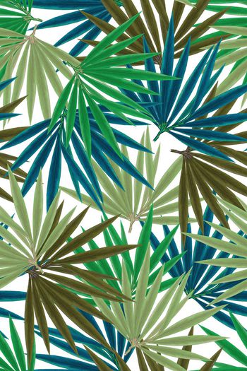 641530-棕榈叶热带海滩风