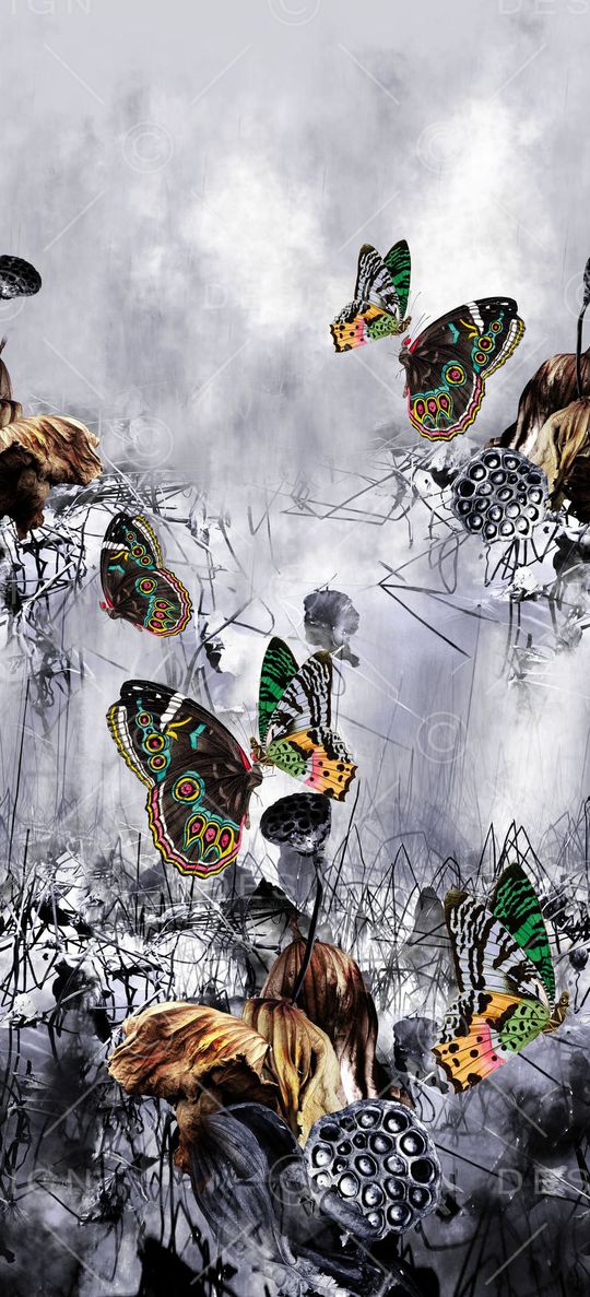 动物印花华亿平台图片