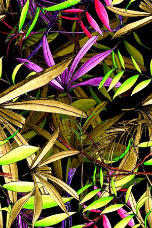 热带雨林印花华亿平台图片